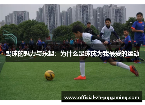 踢球的魅力与乐趣：为什么足球成为我最爱的运动