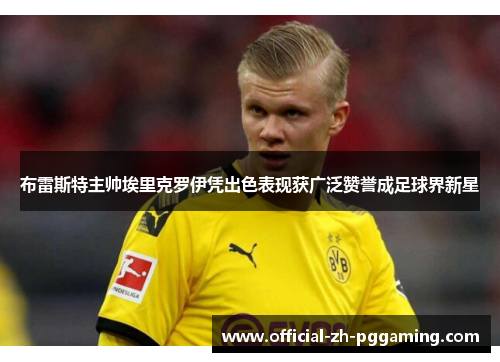 布雷斯特主帅埃里克罗伊凭出色表现获广泛赞誉成足球界新星