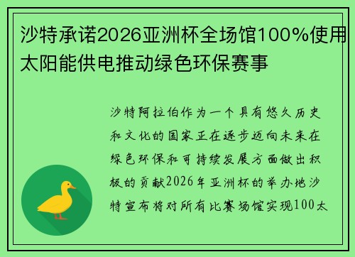沙特承诺2026亚洲杯全场馆100%使用太阳能供电推动绿色环保赛事
